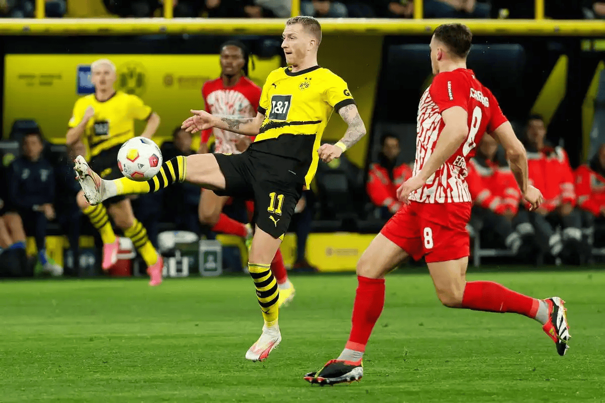 今夜德甲焦点战，孟菲斯灰熊造点机会，压力陡增，赛季目标并未改变的简单介绍-九游体育