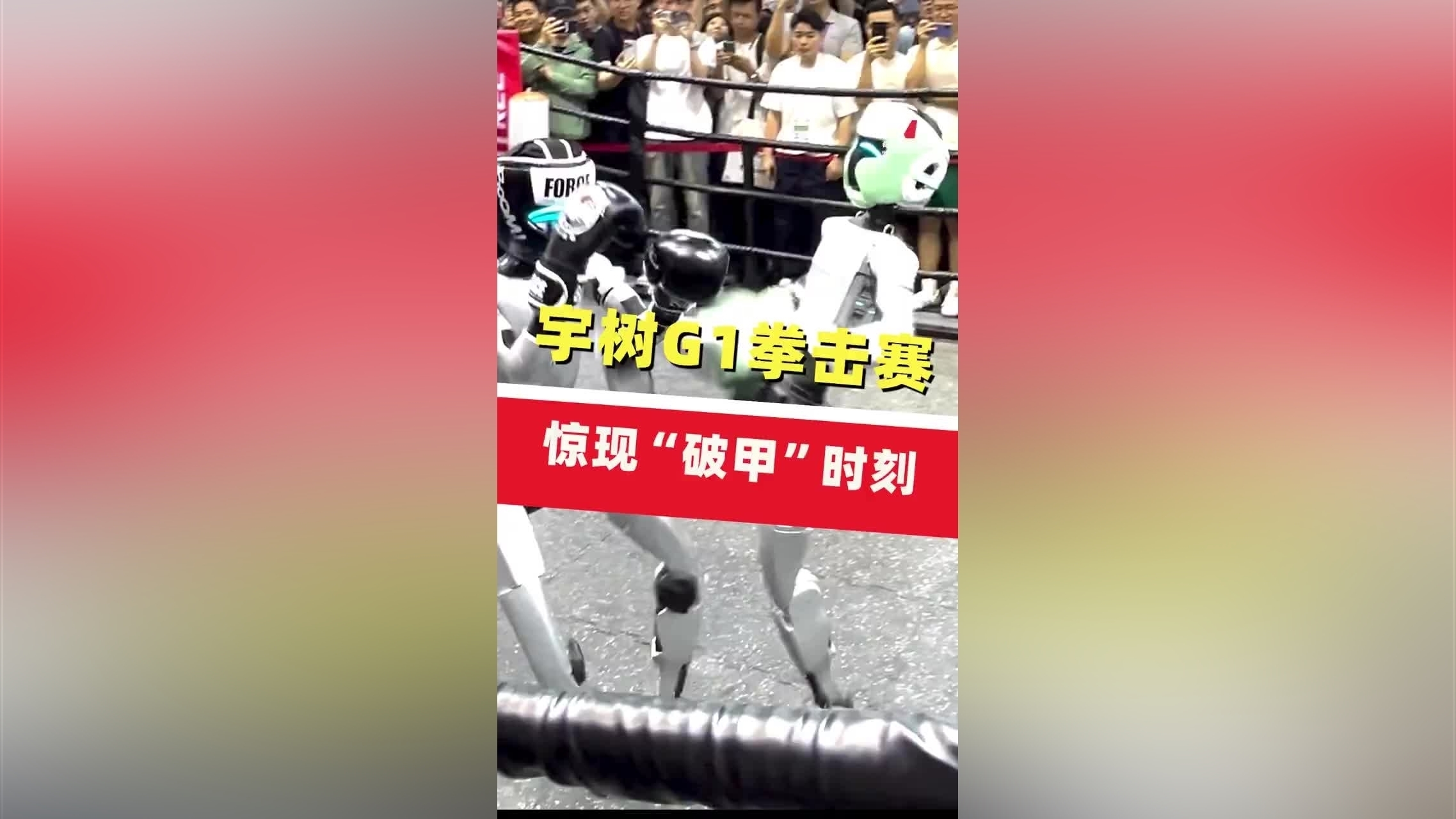 赛地聚焦——意甲窗口期热度飙升；广东宏远豪取连胜；媒体盛赞；更衣室氛围转暖的简单介绍-九游体育入口